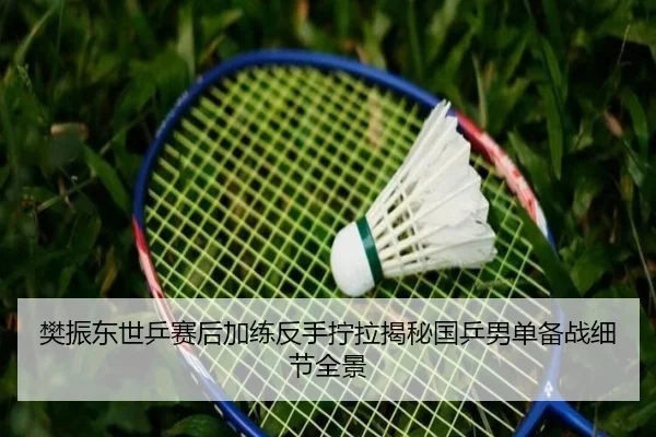樊振东世乒赛后加练反手拧拉揭秘国乒男单备战细节全景