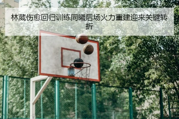 林葳伤愈回归训练同曦后场火力重建迎来关键转折